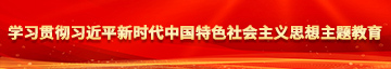 看免费操B视频学习贯彻习近平新时代中国特色社会主义思想主题教育